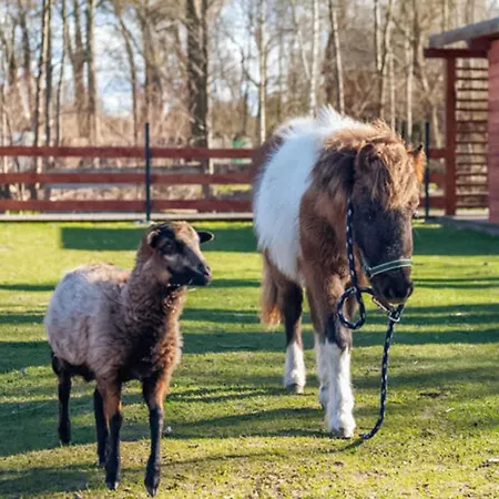 Amazing In With Sauna * Niechorze