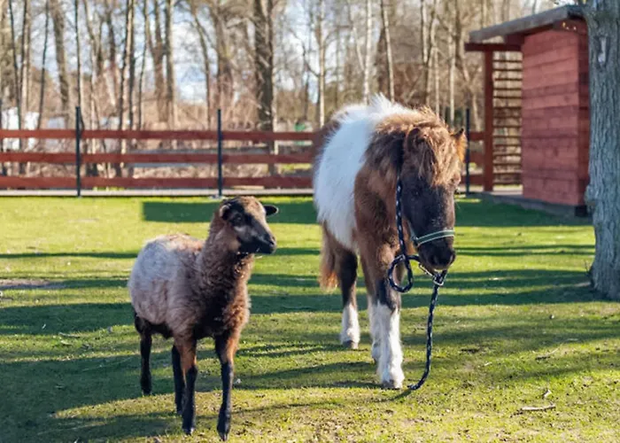 Amazing In With Sauna * Niechorze